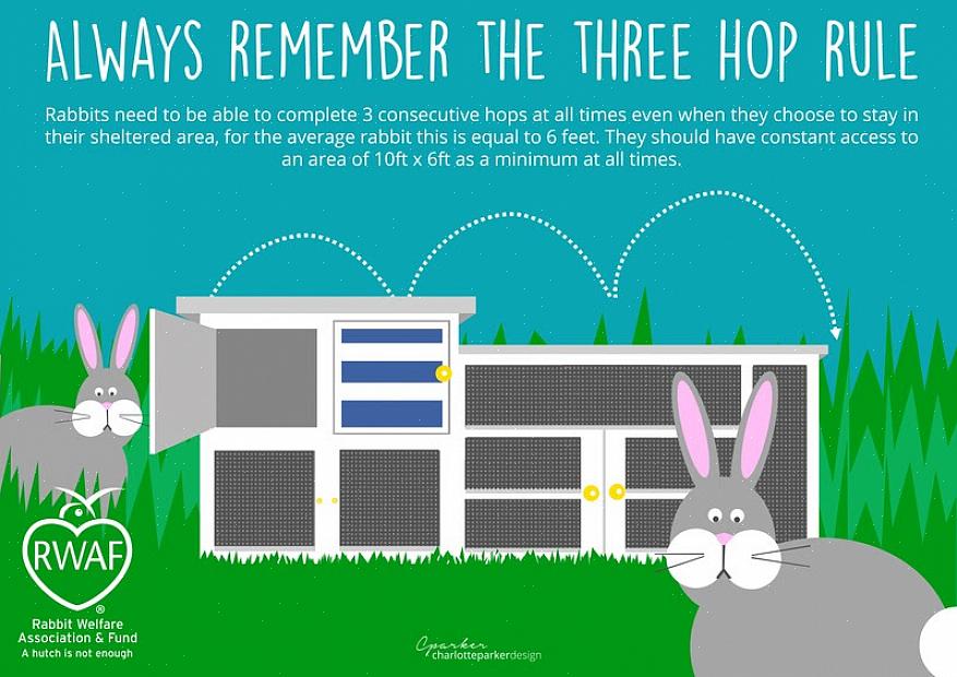 Imidlertid kan buret til kaninen din trenge dyp rengjøring oftere