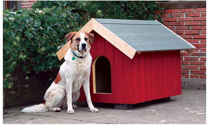 Bytt hundeputer mot et hundehus - hva med litt variasjon i huset