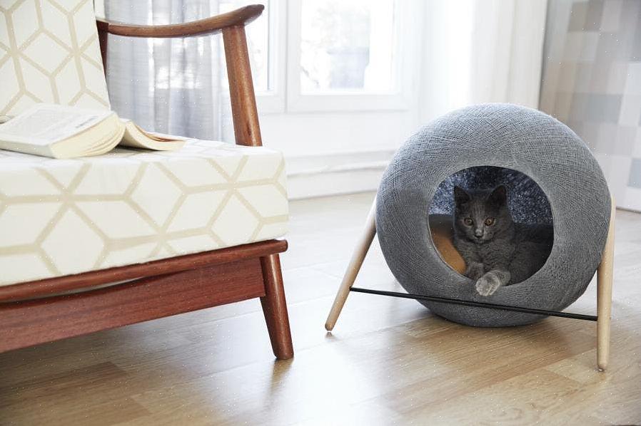 Elegante kattehuler er også en måte å tilby katten din et koselig sted å sove på som smelter diskré inn i
