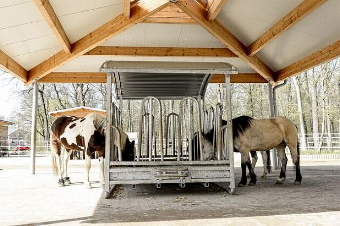 Å holde hester i en åpen stall er absolutt den mest artstilpassede måten å holde hester på