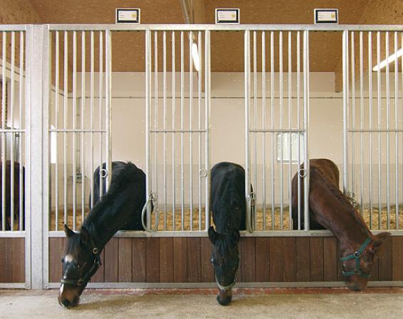 Ved oppbevaring i åpen stall har hestene også mulighet til å være ute sammen
