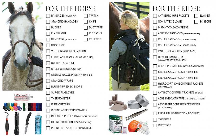 Hver stall bør ha et førstehjelpsutstyr for heste