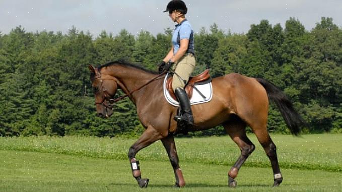 Over ulendt underlag på en stitur kan det være lurt å ri to-punkts for å unngå å støte hestens rygg ved å ri