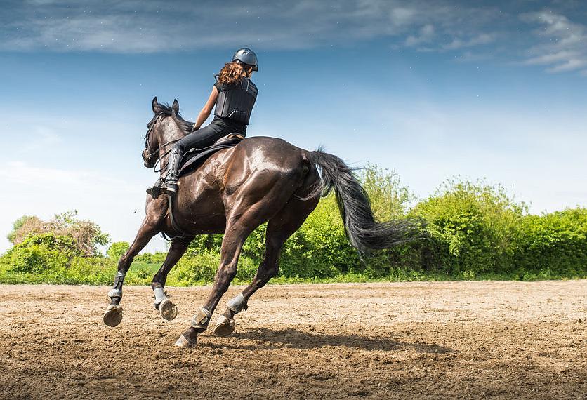 Det er noen myter om å ri på hester som kan hindre deg i å lære å ri godt