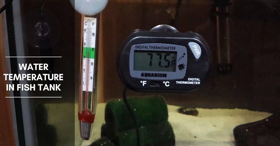 Og temperaturen på vannet som brukes bør testes for å sikre at den stemmer godt med vanntemperaturen i