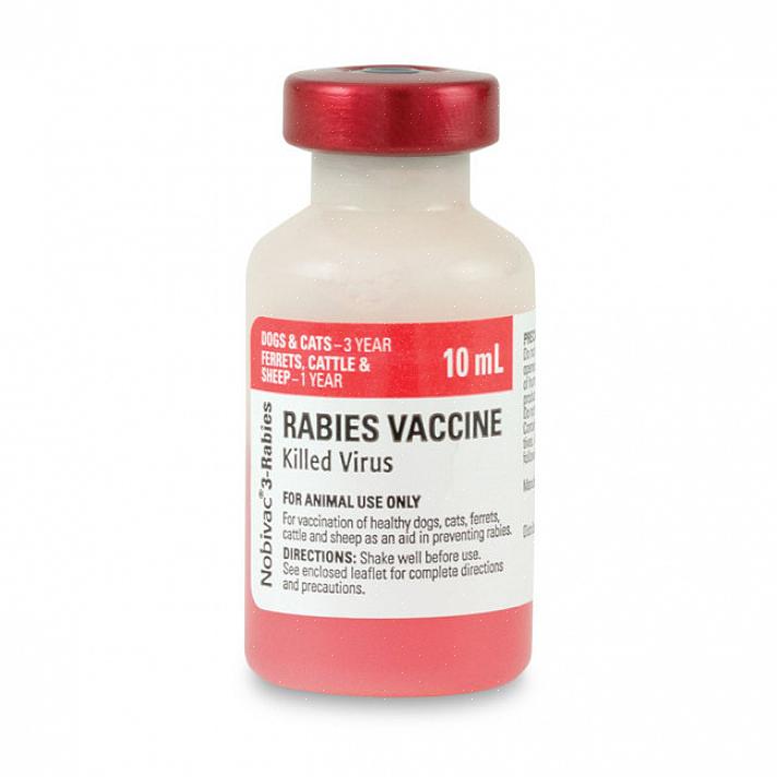 Rabies er den eneste vaksinen som er lovpålagt