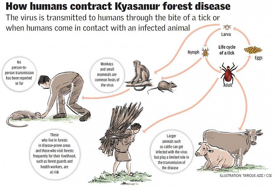 Smittestoffene som forårsaker zoonotiske sykdommer spres på mange forskjellige måter