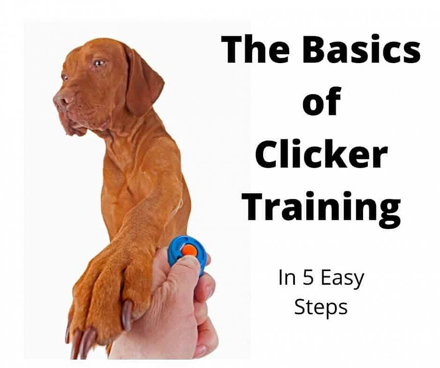 Glede deg er en hundetreningsteknikk kalt klikkertrening