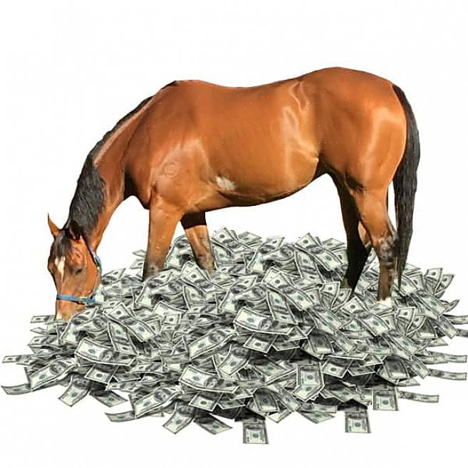 Ako môžete znížiť náklady na starostlivosť o kone