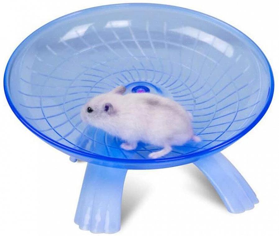 De fleste hamstere gjør stor bruk av et hamsterhjul